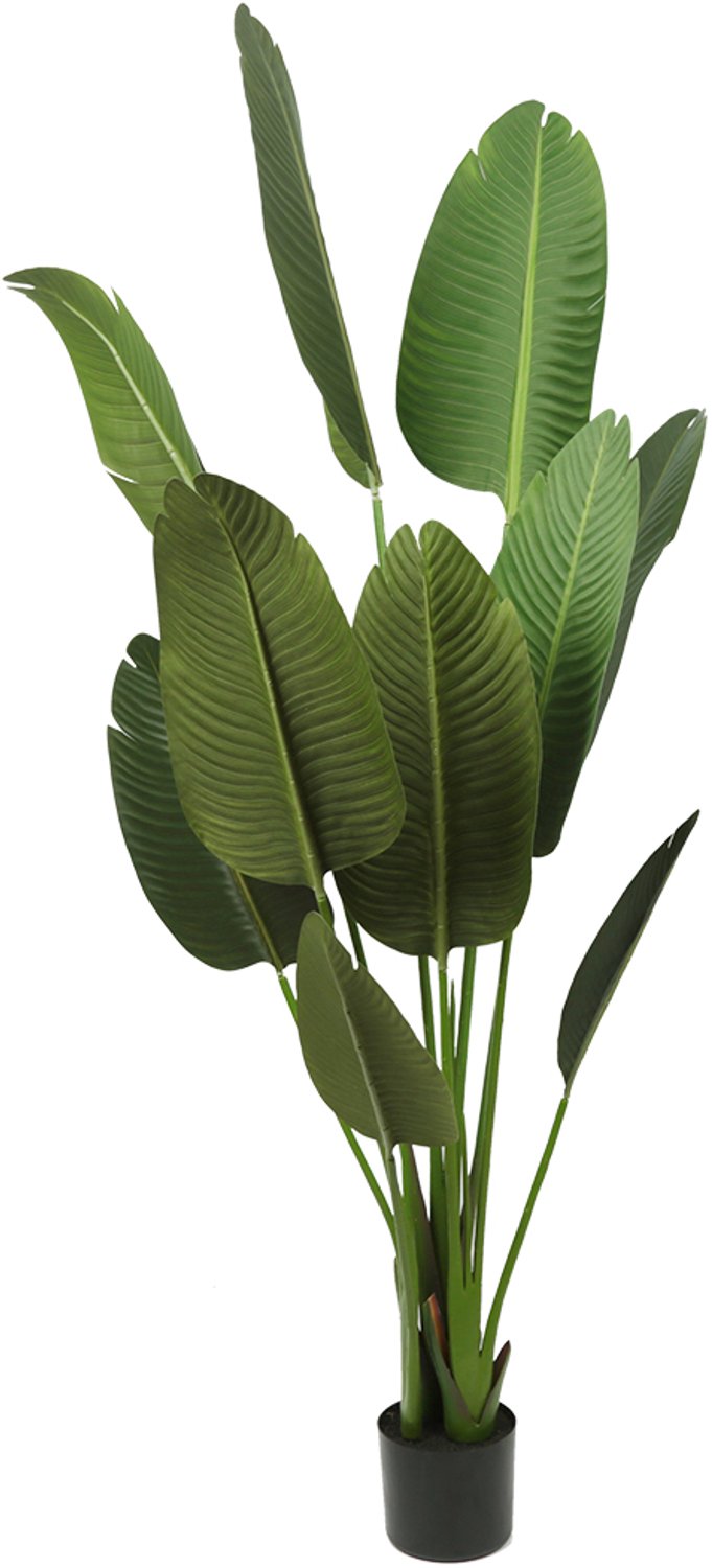 PIPIPOXER Kunst Bananenplant 160 cm - Grote Kunstplant - Levensechte Kamerplant voor Binnen - Onderhoudsvrij