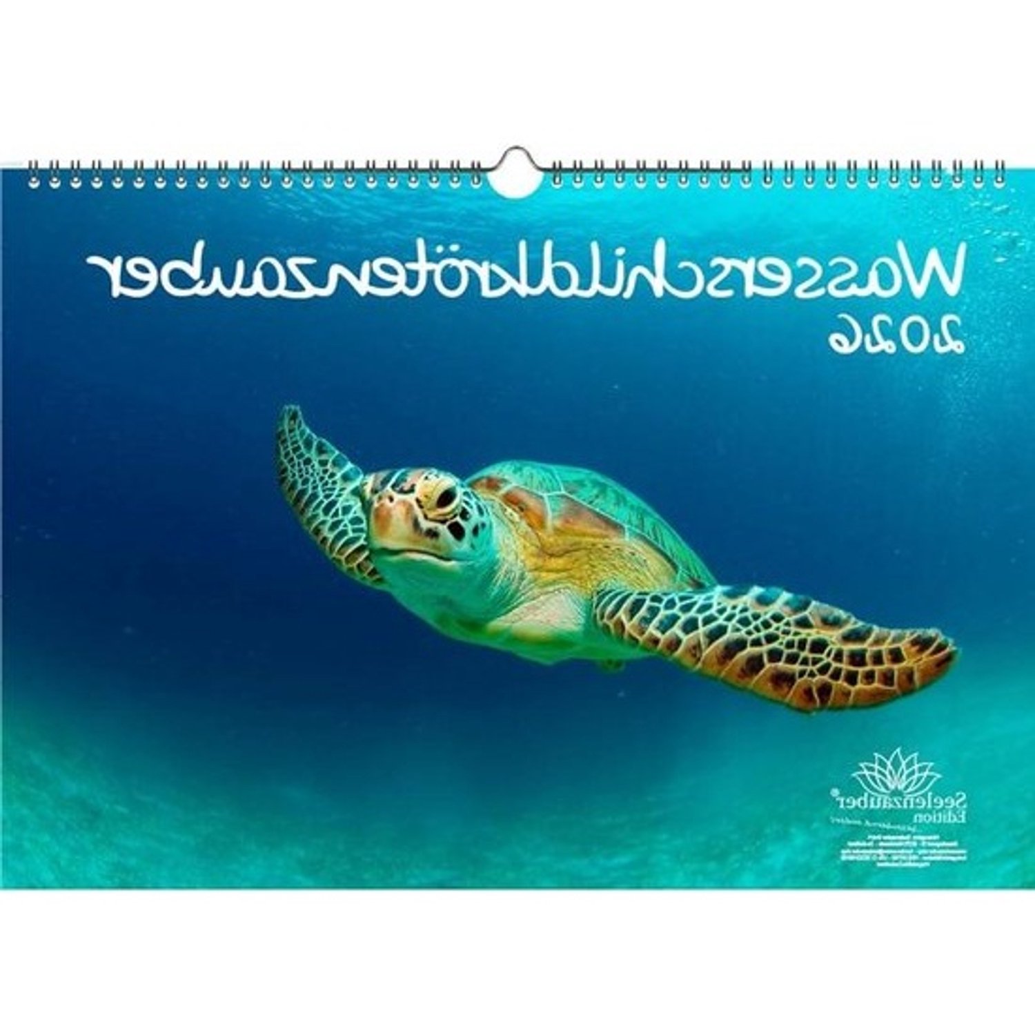 Waterschildpadden kalender - Fotokalender met schildpadden - Jaaroverzicht - 12 verschillende motieven - A3 - Niet gespecificeerd