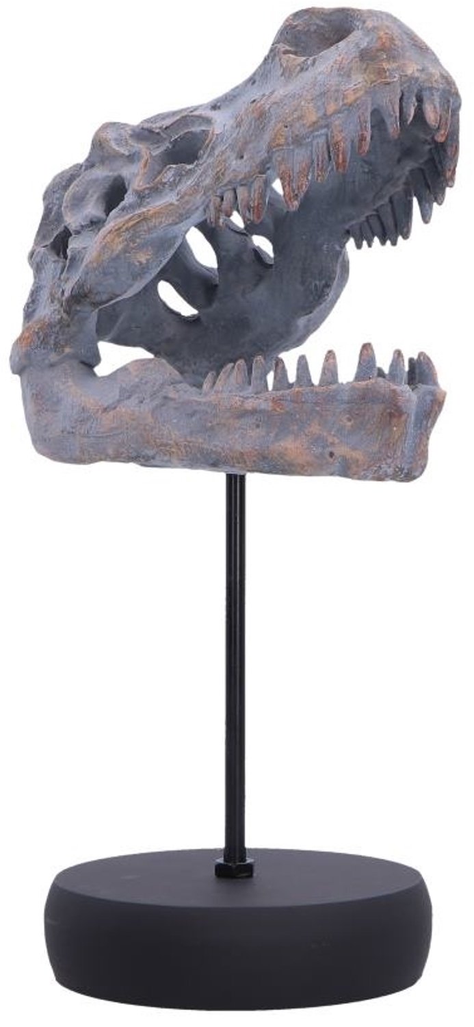 Nemesis Now - Tyrannosaurus Rex Skull on Plinth Beeld/figuur - Multicolours
