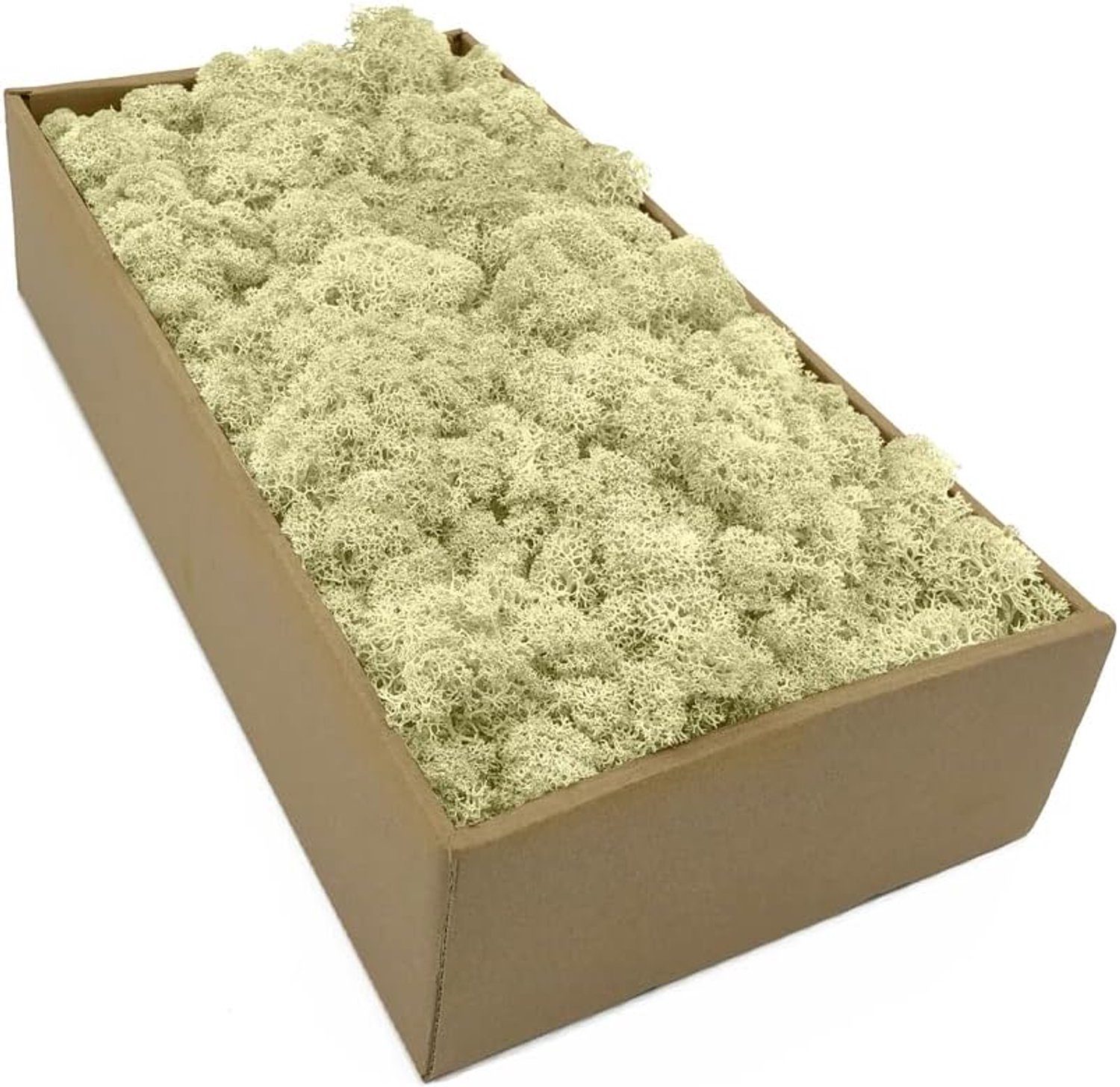 IJslands mos 250 g - natuurlijk wit - hoogwaardig en duurzaam - perfect voor decoratie - ShopVlot
