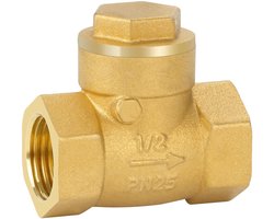 nutmanel Terugslagklep binnendraad messing terugslagklep 1/2 inch Check Valve DN15 binnendraad voor buisverbindingen