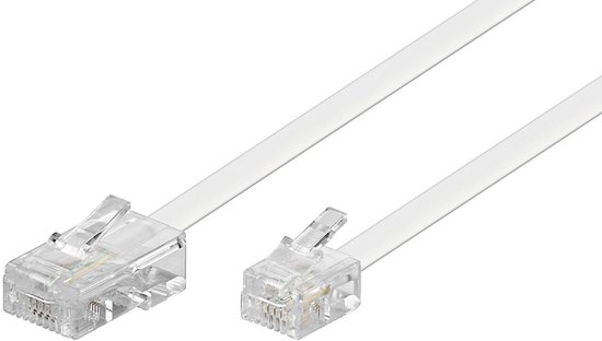 Deux connecteurs RJ45 transparents sur un câble plat et blanc.