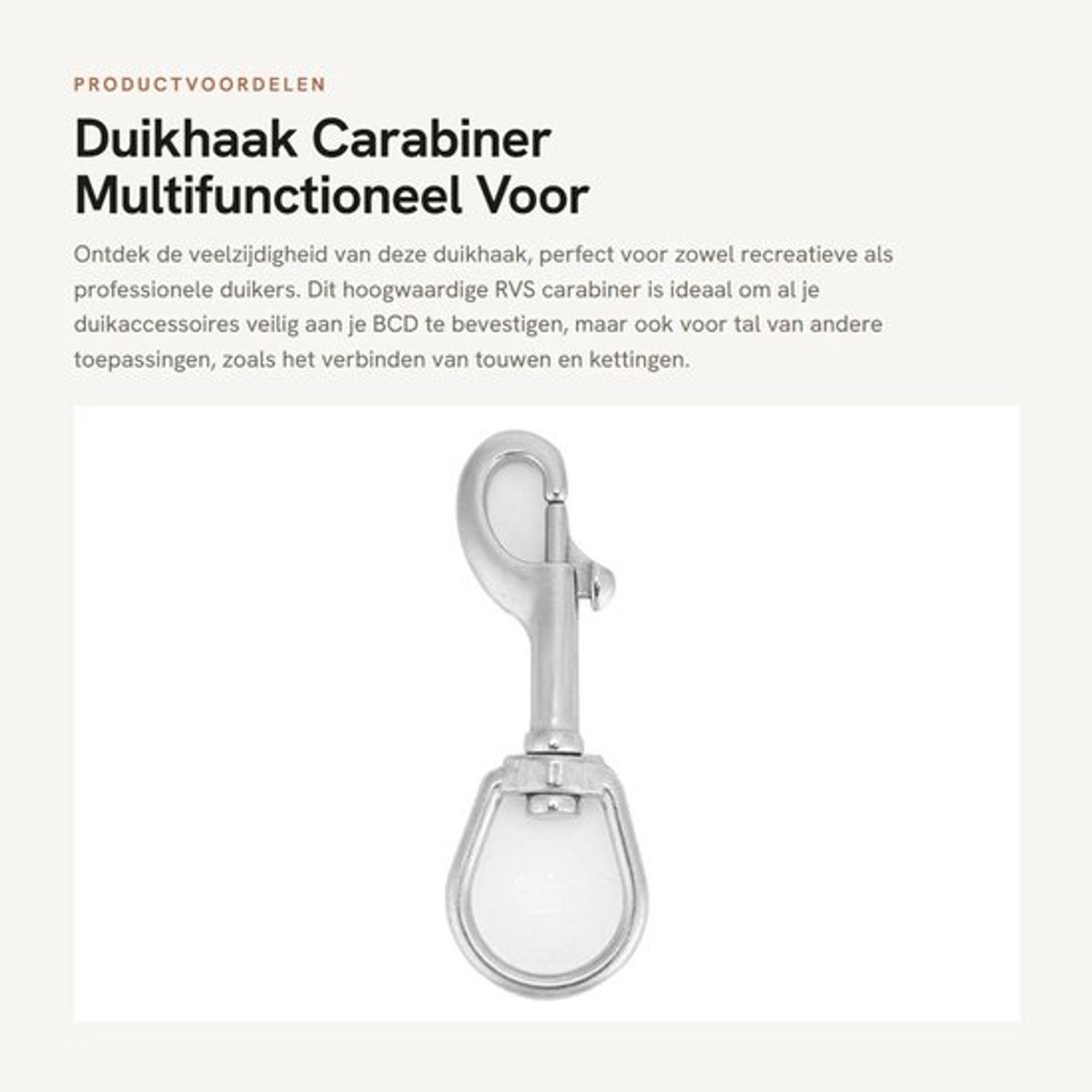 Dailygoods- Duikhaak RVS - Karabijnhaak met Schroefsluiting - Musketonhaak