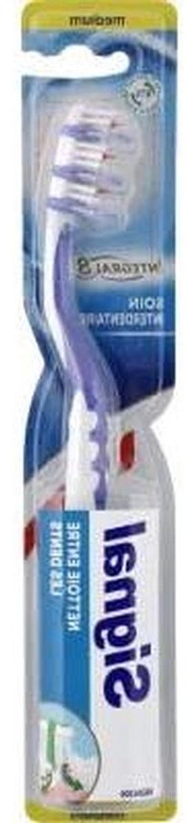Tandenborstel - Interdentale borstel - Mondhygiëne - 45 graden hoek - 10 g - Blauw