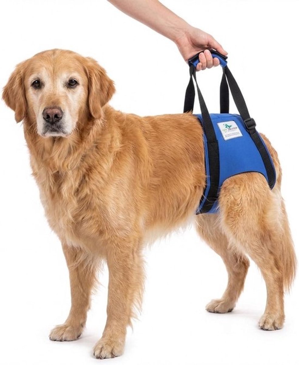 Honden Draaghulp - Honden Steun - Honden Ondersteunen - Individueel Verstelbaar - Maat L - Rood