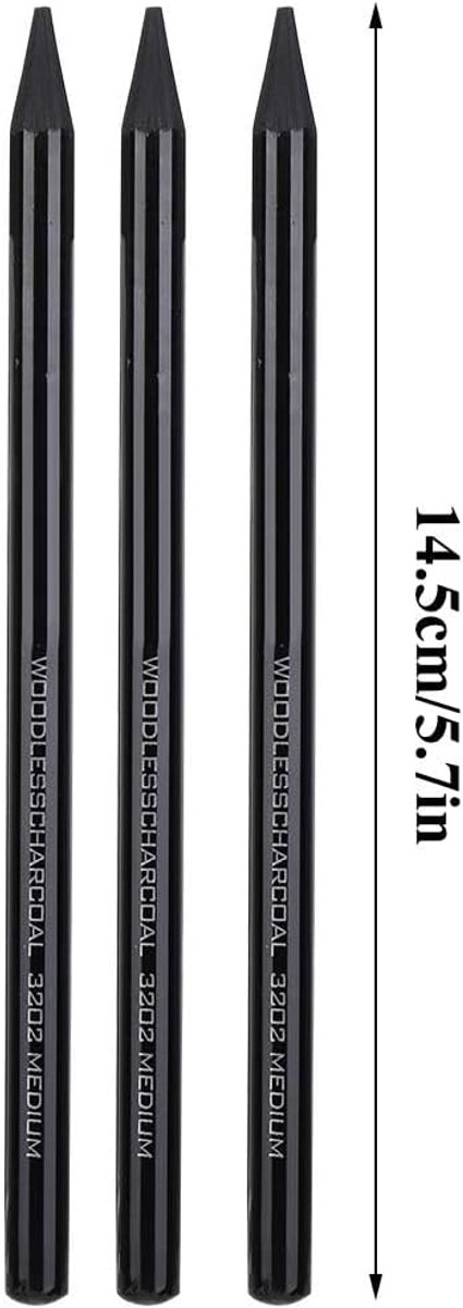 3 Stuks Professionele Carbon Schetspotloodset Houtloze Houtskoolpen Tekening met Modieuze Zwarte Verf Penhouder Geweldige Cadeaus voor Kunstenaars, Studenten