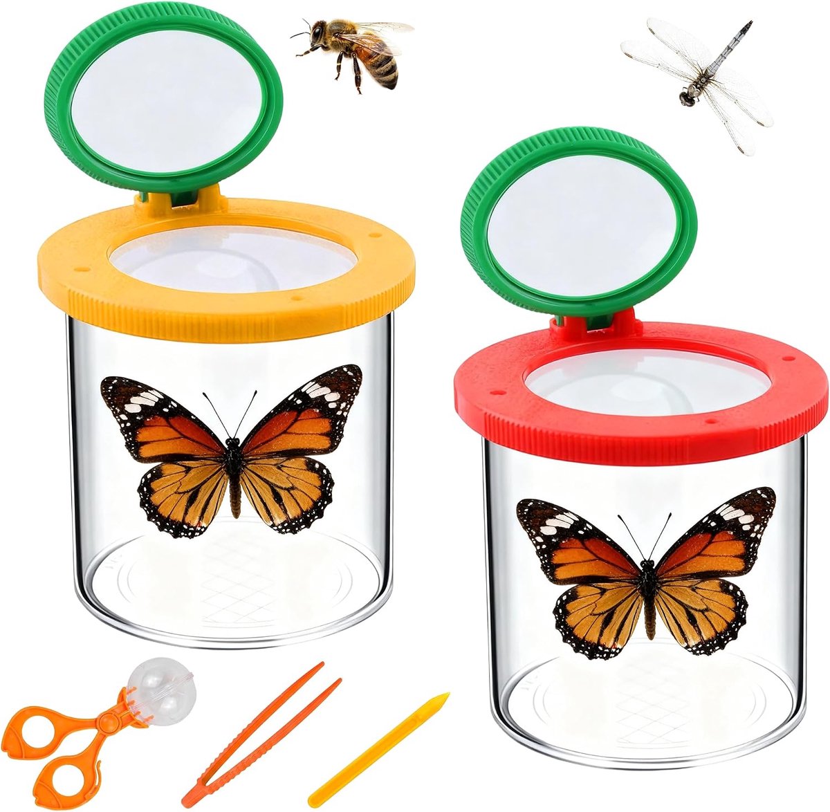 2 stuks bekervergrootglazen, bekervergrootbekerset, insecten viewer voor outdoor, wetenschap, natuur verkenning