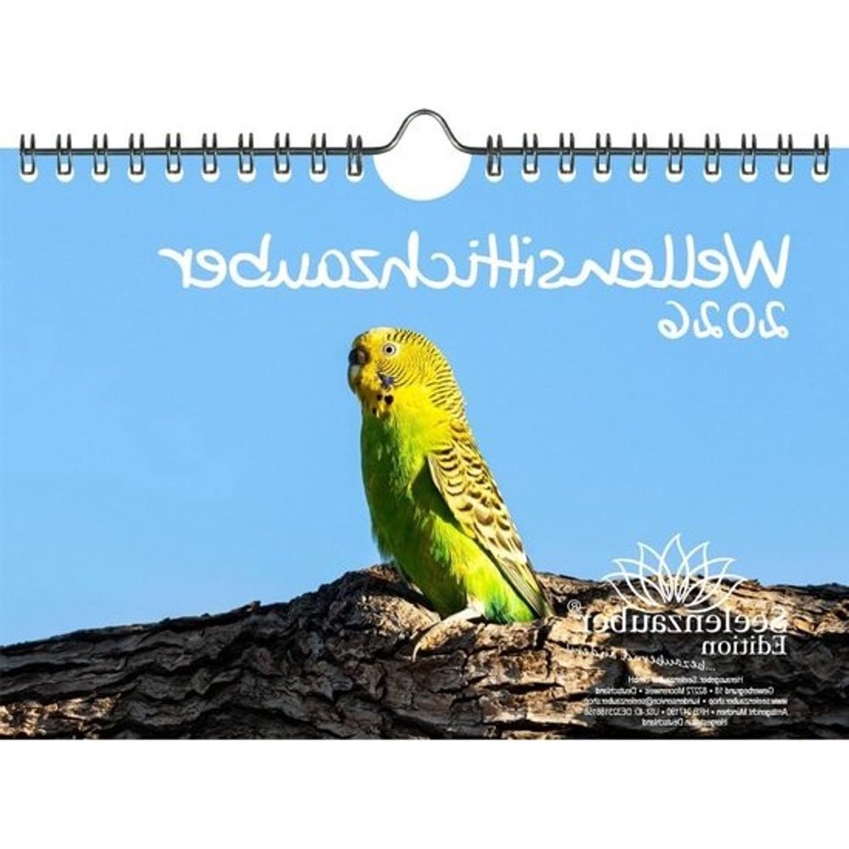 Wandkalender 2026 - Vogelkalender - Jaar Overzicht - 12 Verschillende Motieven - A5 Formaat - Multicolor