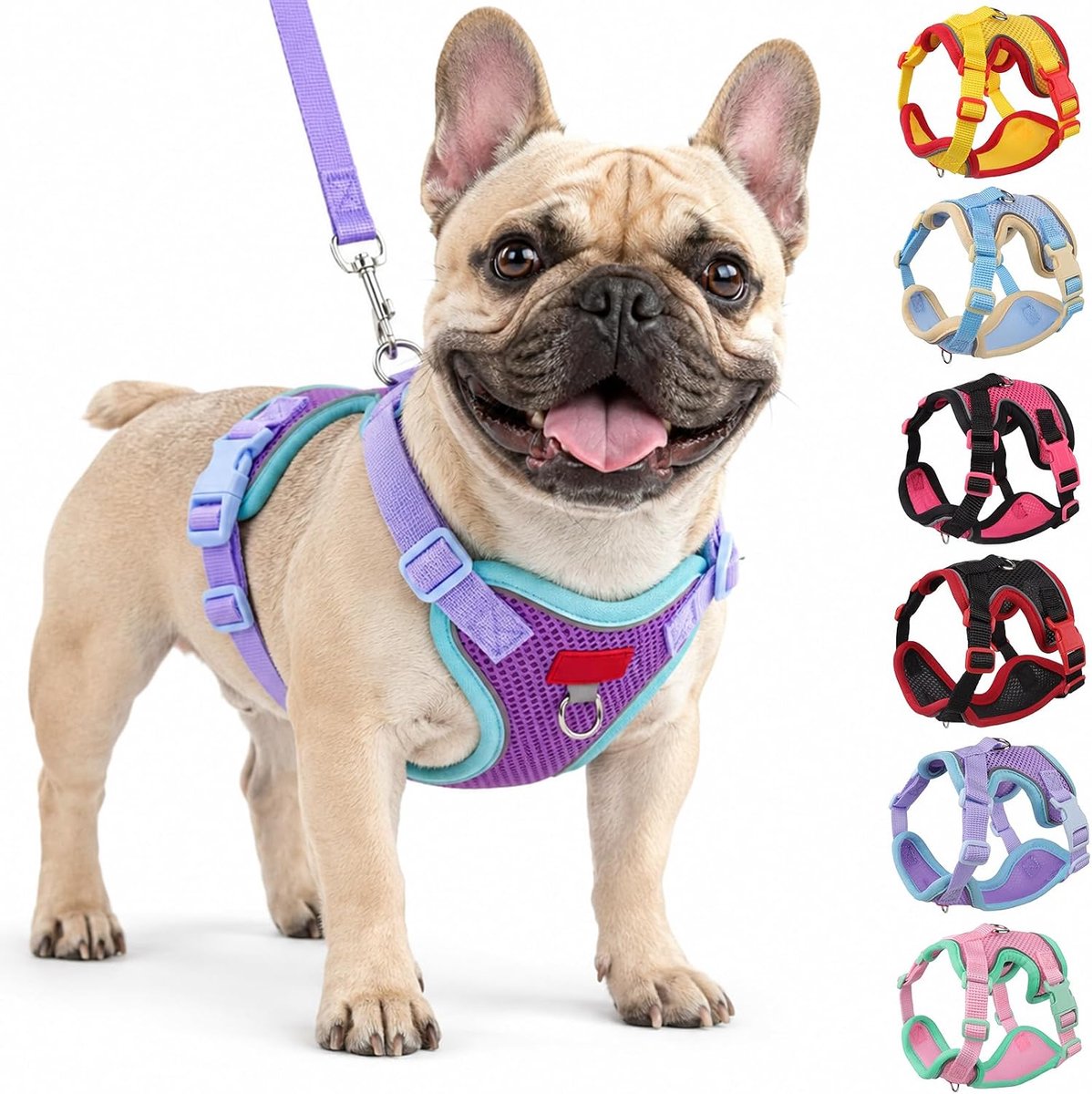 Hondenharnas met riem, set voor puppy's, kleine en middelgrote honden, katten, zacht mesh, ademend, licht, puppyharnas, verstelbaar, reflecterend borstharnas, hondenharnas (paars, XL)