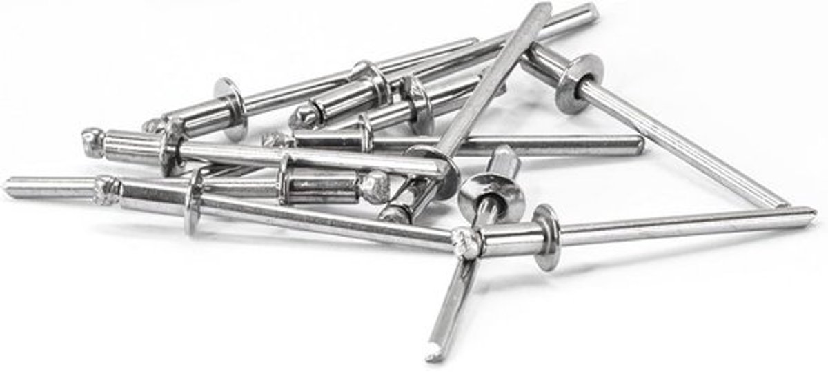 Set van 100 Popnagels RVS V2A Platte Kop 4mm Diameter Set