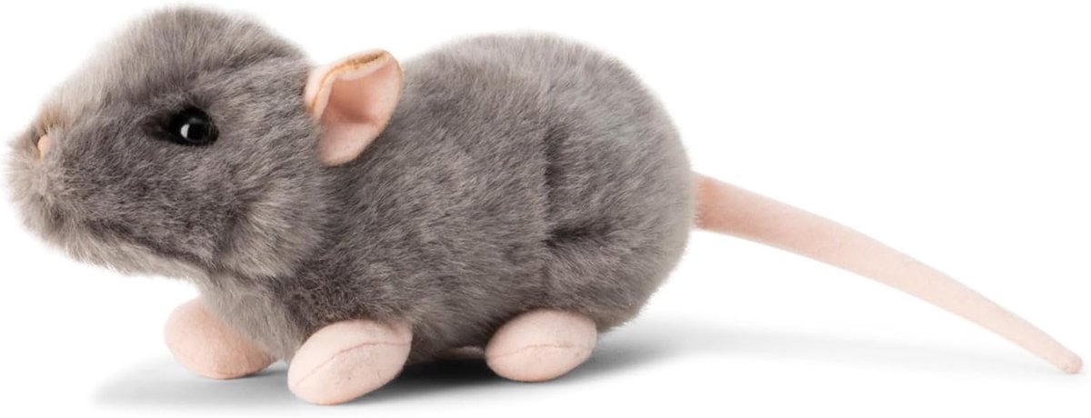 Wereld Van Natuur Piepen Rat