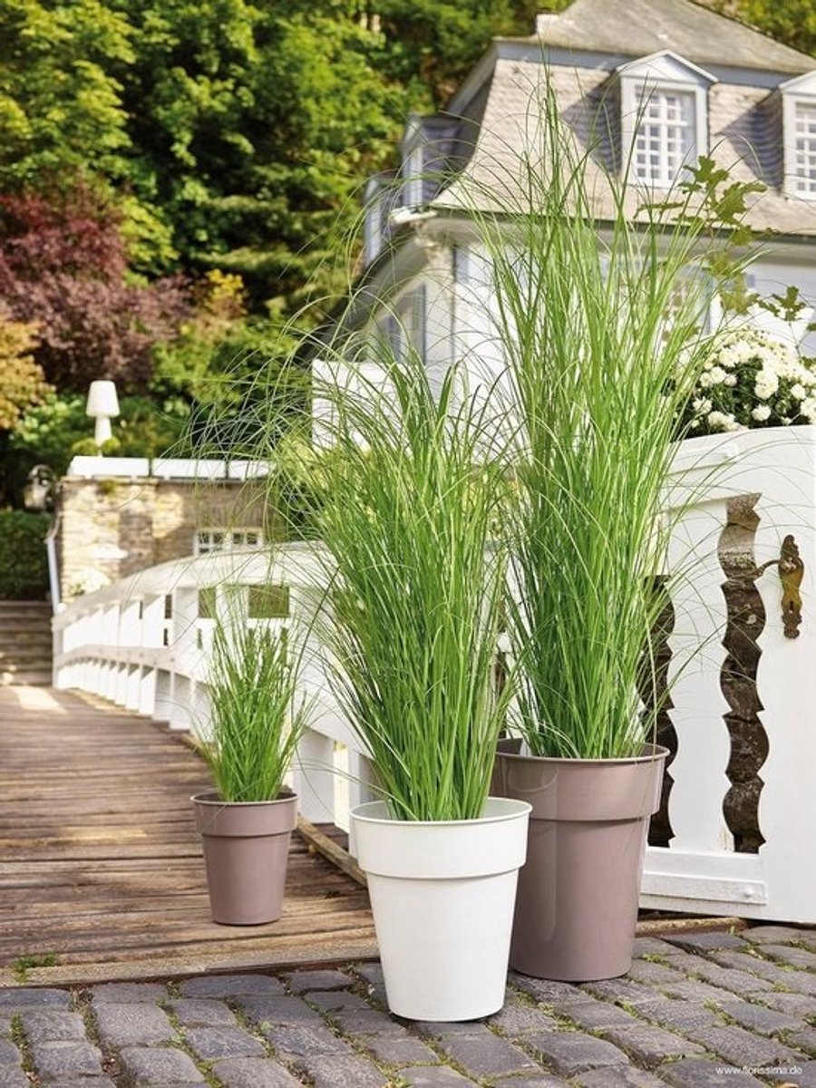 Hoge Decoratieve Kunstgras Set - 95 cm Natuurgetrouw Siergras voor Binnen en Buiten