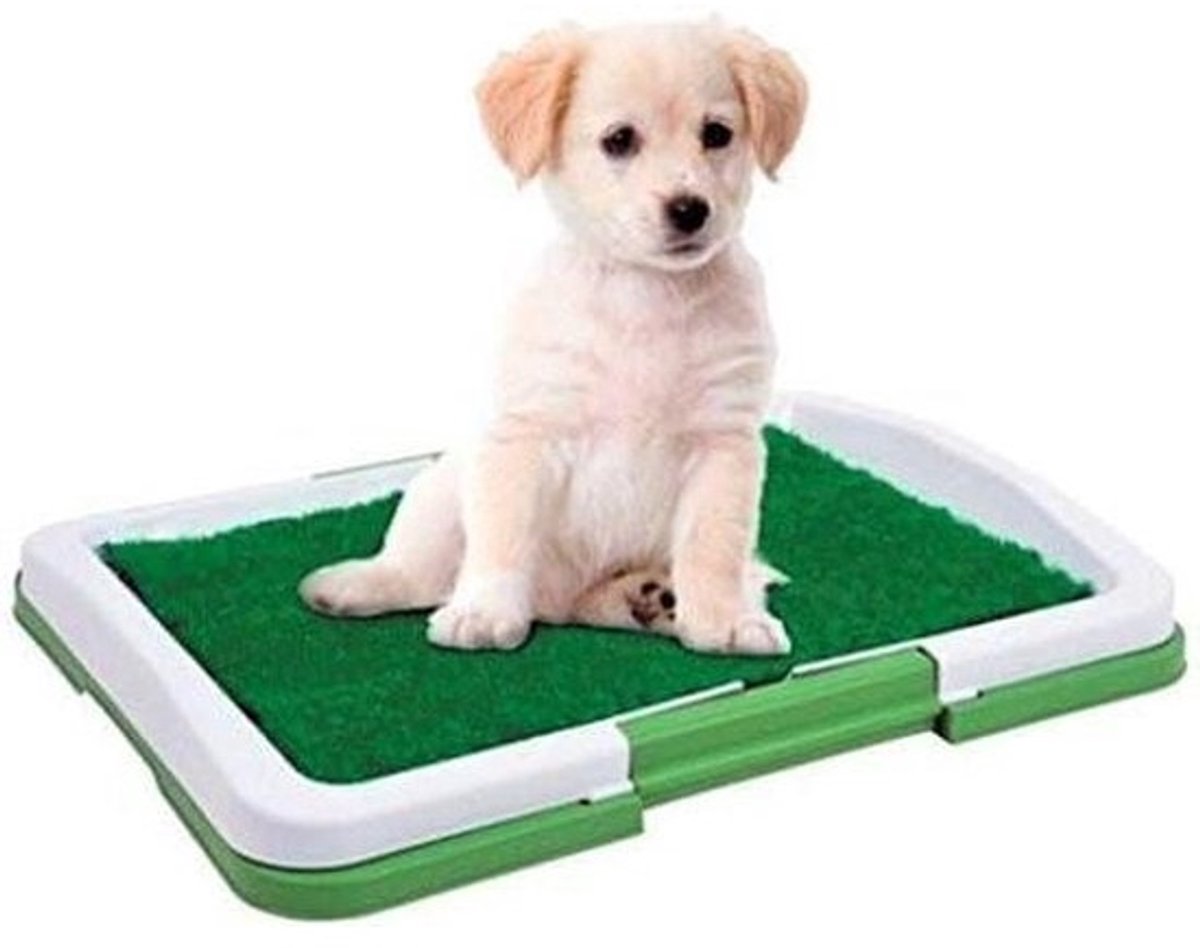 Honden Toilet - Puppy Plasplek - Zindelijkheidstraining Thuis - Gazon Imitatie Oppervlak - 46 x 34 x 5 CM - Groen