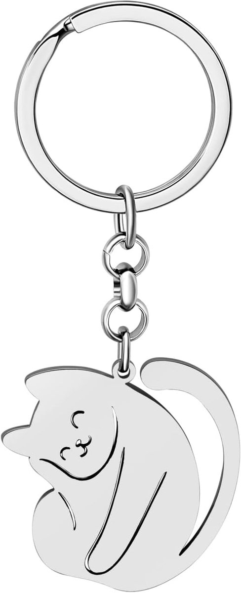 Rvs Kat Sleutelhanger Geschenken Voor Vrouwen Meisjes Kat Sleutelhangers Portemonnee Autosleutels Charms