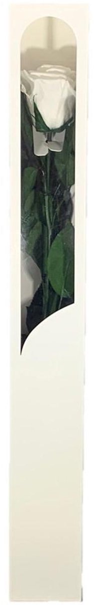 1x Dc pres.rozen white 0601t