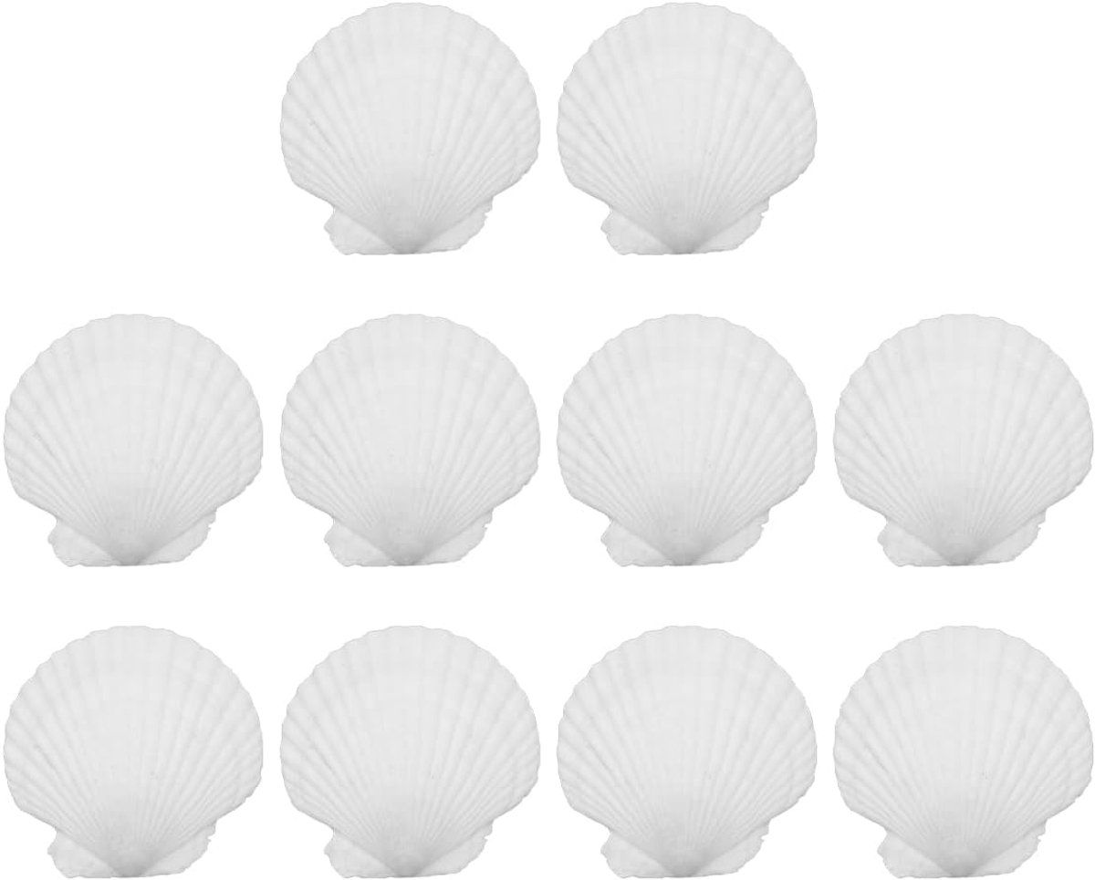 10 stuks Sint-jakobsschelpen Natuurlijke zeeschelpen 10cm-12cm Witte Sint-jakobsschelpen Grote zeeschelpen, voor doe-het-zelf ambachten, decoraties, kransen en feestthema 's