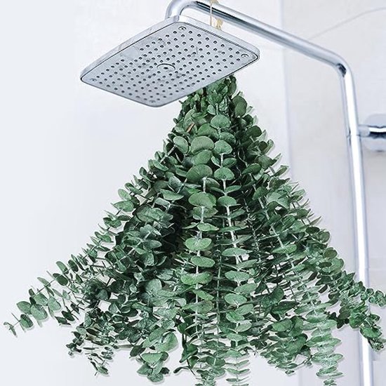 Eucalyptus takken hangen onder een vierkante douchekop, bladeren met een grijze gloed.