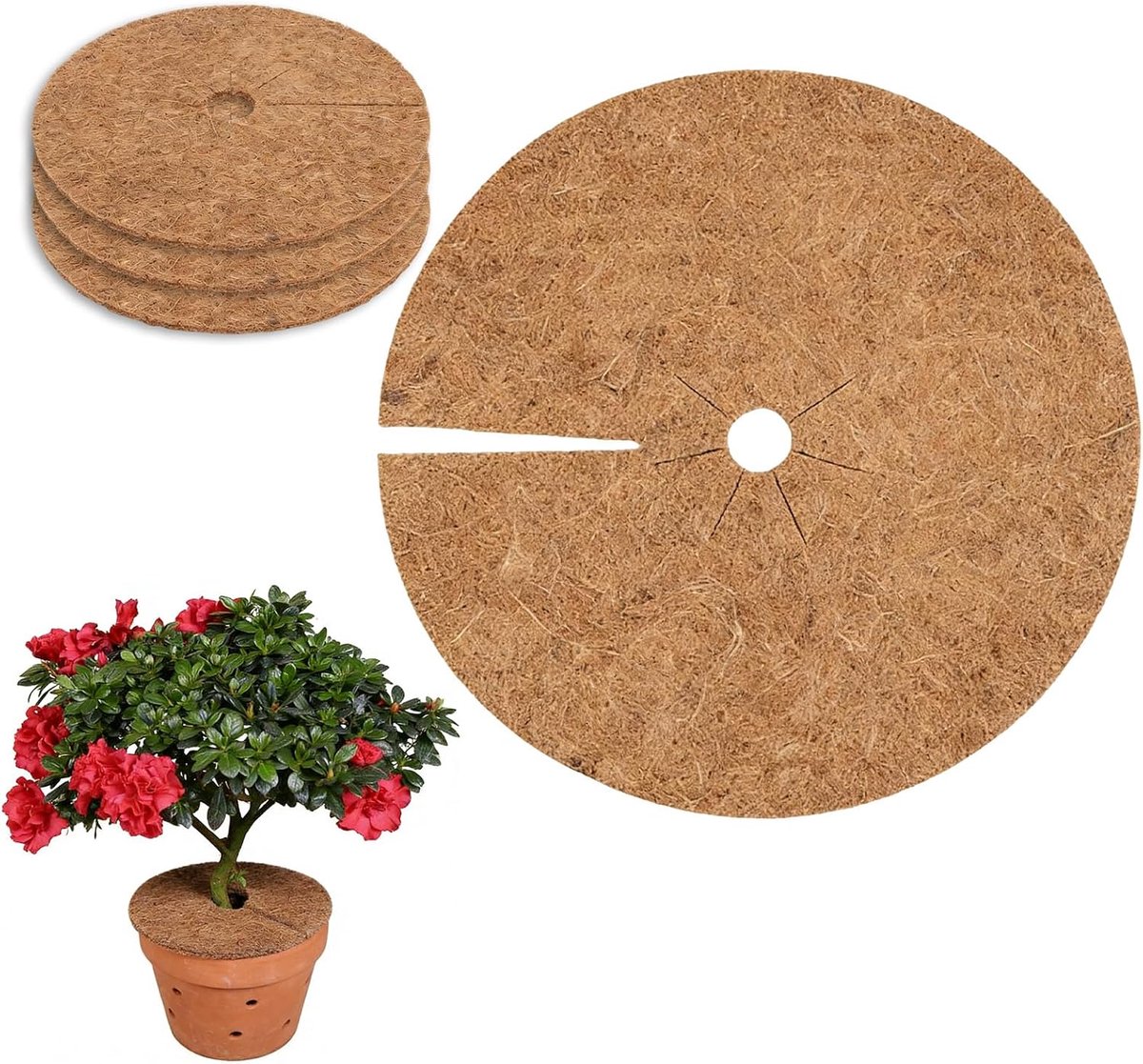 4 Kokosmatten voor planten met afdekplaat, van kokosvezel, voor wortelbescherming en onkruidbestrijding, ideaal voor potplanten en jaarrond gebruik (30cm)
