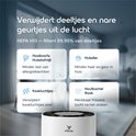 Illustratie van vier voordelen: hooikoorts, huisdieren, kookluchtjes en houtrook, met tekst.