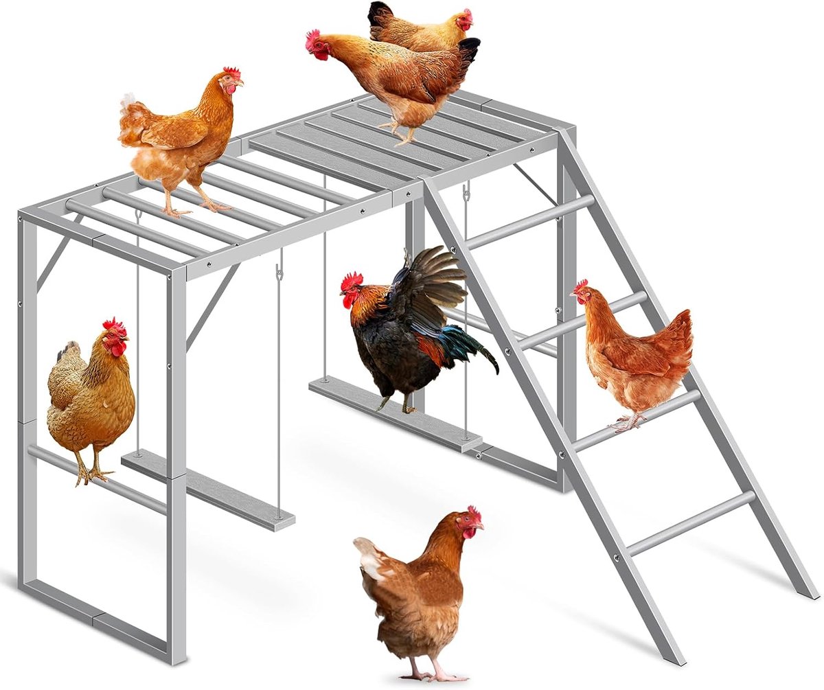 Zitstokken met schommel, kippenspeelgoed voor kippenladders, zware kippenloopaccessoires voor gezonde huisdieren, duurzame en gemakkelijk schoon te maken pluimveespeelplaats voor achtertuin