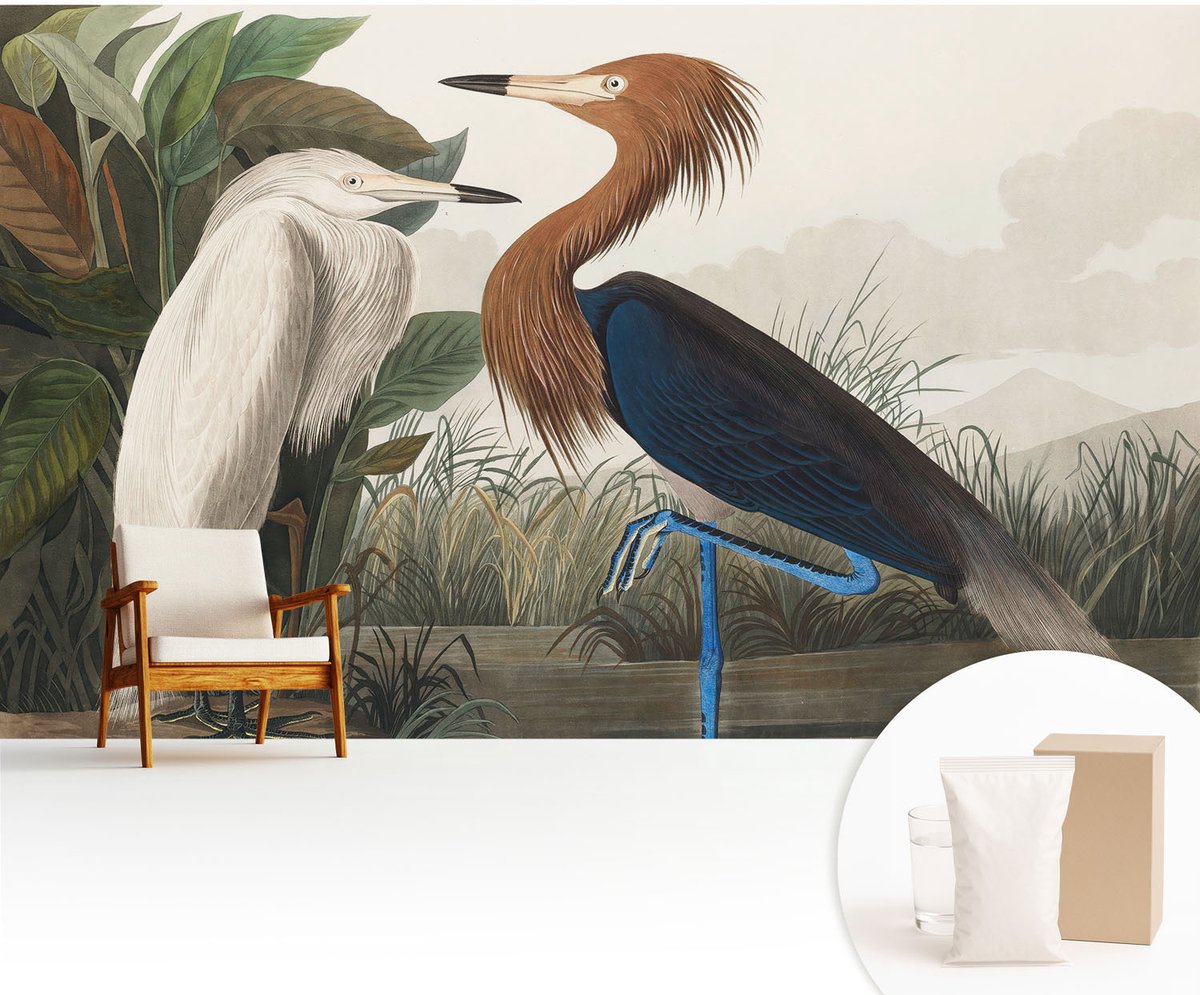 Wallfluent Fotobehang - Groente Vliesbehang - 416x254 cm - Vogels In Planten Fotobehang Vlies - Hal behang Dieren - Muurschildering - Woonkamer behang
