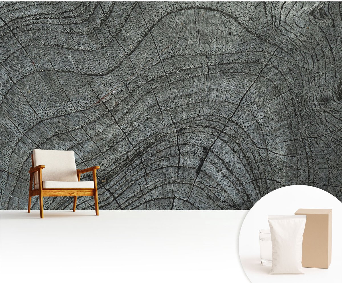 Wallfluent Fotobehang - Grijs Vliesbehang - 416x254 cm - Korrelpatroon Fotobehang Vlies - Woonkamer behang Texturen - Muurschildering - Woonkamer behang