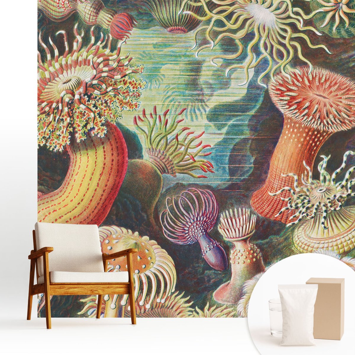 Wallfluent Fotobehang - Groente Vliesbehang - 250x250 cm - Sierlijke Zeeanemonen Fotobehang Vlies - Hal behang Deel - Muurschildering - Woonkamer behang