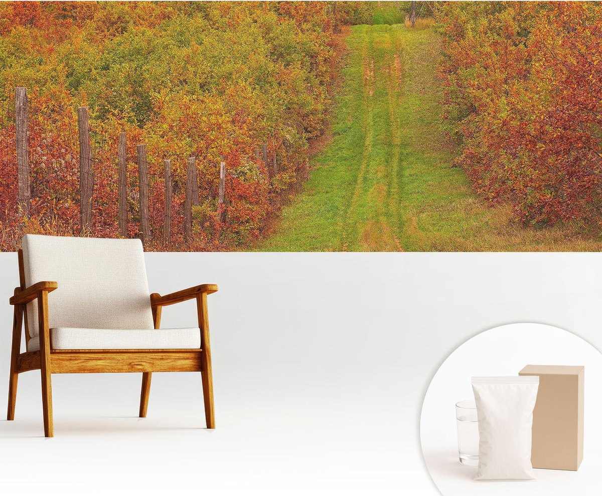 Wallfluent Fotobehang - Groente Vliesbehang - 250x104 cm - Herfstkleuren Fotobehang Vlies - Woonkamer behang Landschappen - Muurschildering - Hal behang