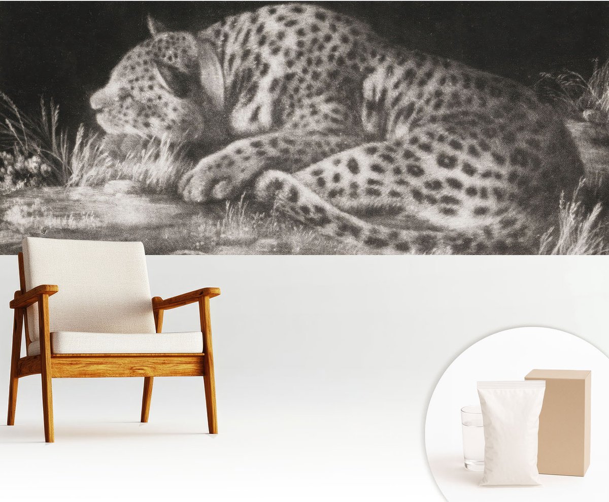 Wallfluent Fotobehang - Zwart-Wit Vliesbehang - 250x104 cm - Luipaard Rustend Muurschildering - Slaapkamer behang Dieren - Fotobehang Vlies - Slaapkamer behang
