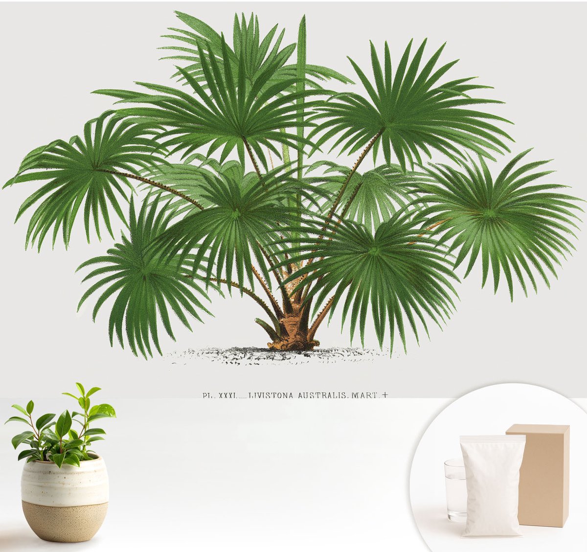 Wallfluent Fotobehang - Groente Vliesbehang - 104x70 cm - Exotisch Patroon Muurschildering - Slaapkamer behang Bloemen En Planten - Fotobehang Vlies - Slaapkamer behang