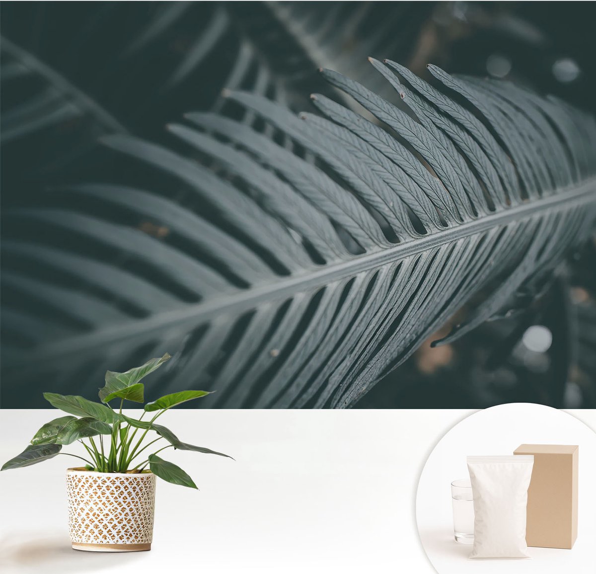 Wallfluent Fotobehang - Groente Vliesbehang - 152x104 cm - Groen Blad Fotobehang Vlies - Woonkamer behang Bloemen En Planten - Muurschildering - Woonkamer behang