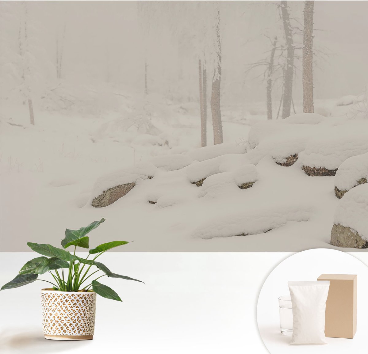 Wallfluent Fotobehang - Wit Vliesbehang - 152x104 cm - Sneeuwbos Muurschildering - Slaapkamer behang Landschappen - Fotobehang Vlies - Slaapkamer behang