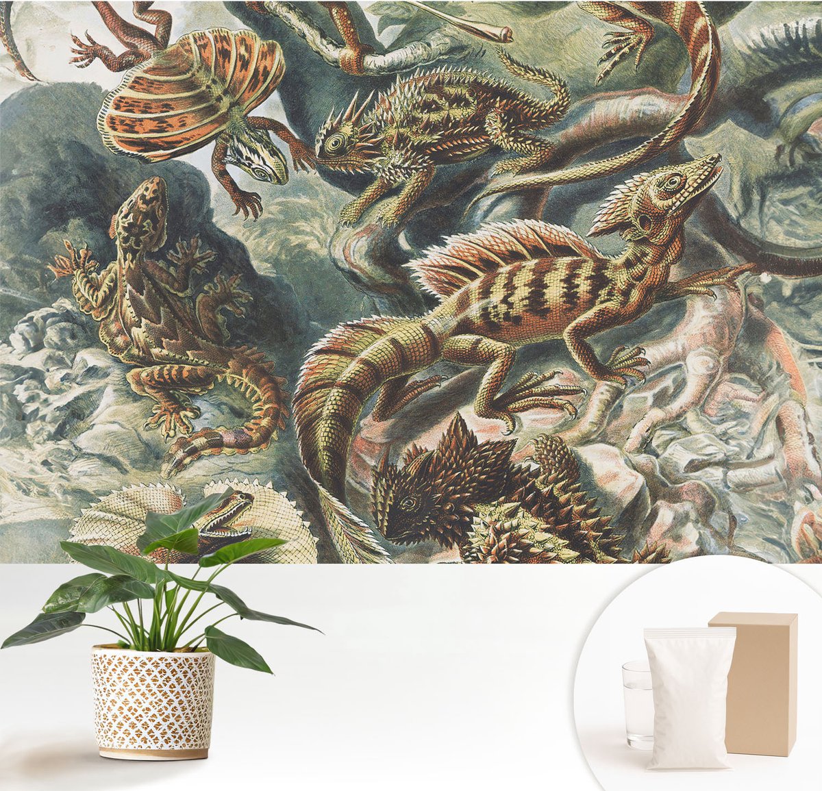 Wallfluent Fotobehang - Zwart Vliesbehang - 152x104 cm - Exotische Reptielen Fotobehang Vlies - Woonkamer behang Dieren - Muurschildering - Hal behang