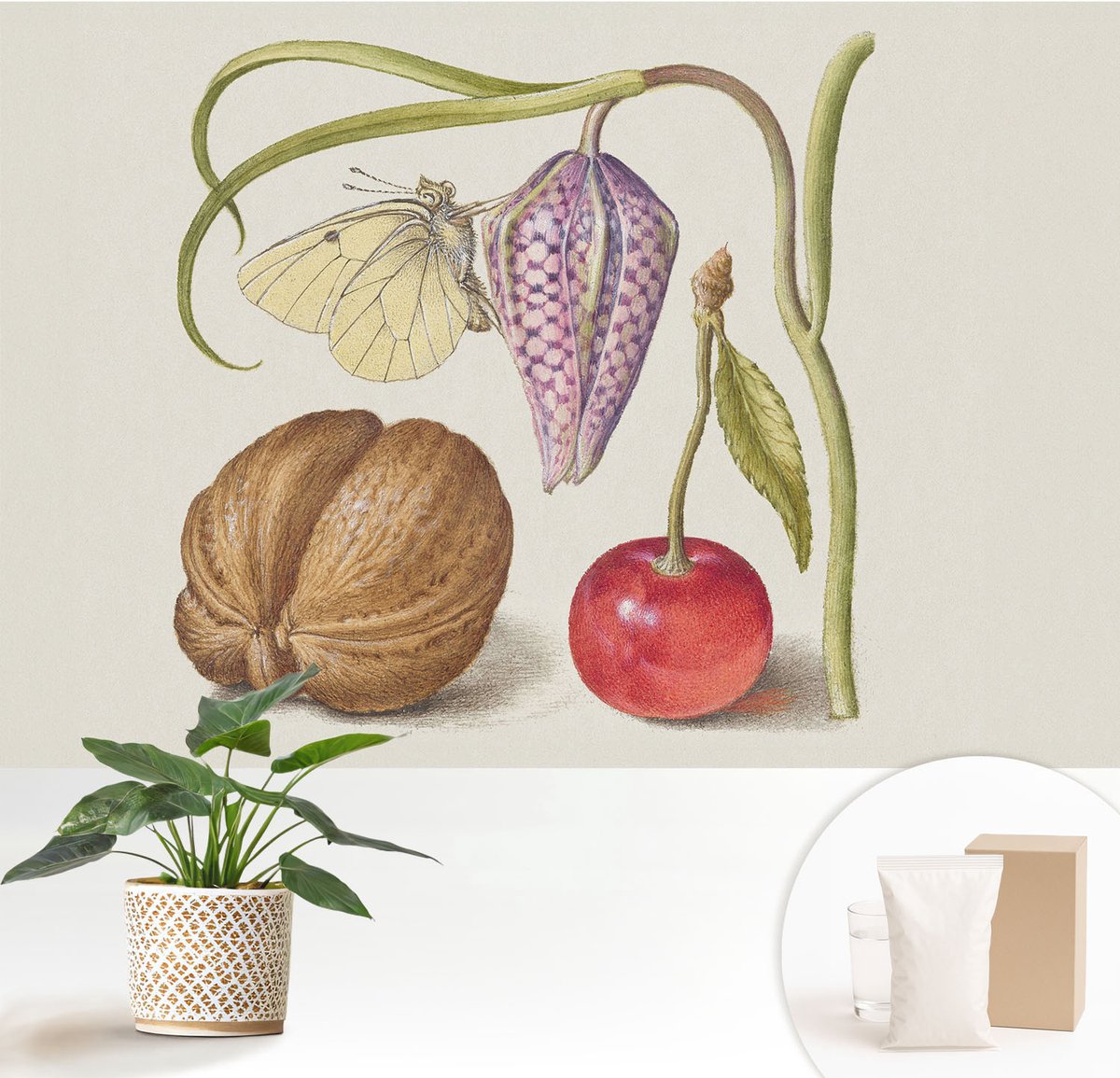 Wallfluent Fotobehang - Romig Vliesbehang - 152x104 cm - Vlinderplant Muurschildering - Slaapkamer behang Bloemen En Planten - Fotobehang Vlies - Gang behang