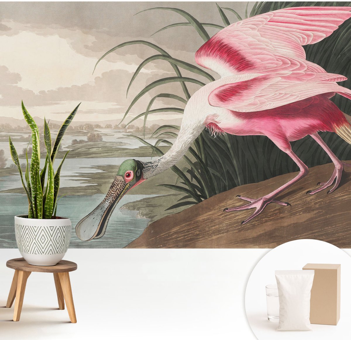 Wallfluent Fotobehang - Grijs Vliesbehang - 208x146 cm - Exotische Vogel Muurschildering - Slaapkamer behang Dieren - Fotobehang Vlies - Gang behang