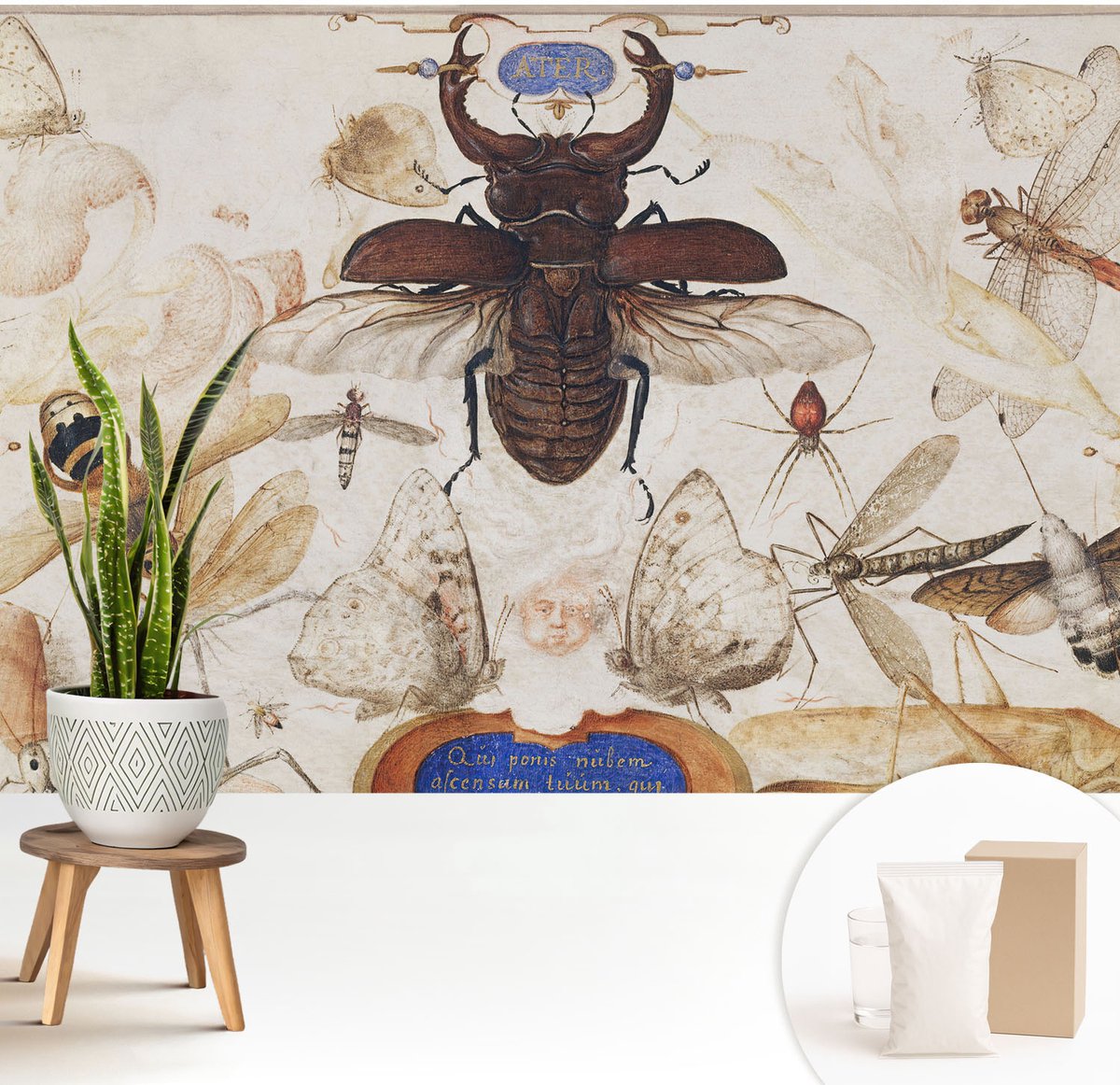 Wallfluent Fotobehang - Wit Vliesbehang - 208x146 cm - Natuurlijke Harmonie Muurschildering - Gang behang Ander - Fotobehang Vlies - Gang behang
