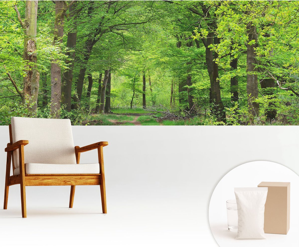 Wallfluent Fotobehang - Groente Vliesbehang - 250x104 cm - Bospad Fotobehang Vlies - Woonkamer behang Landschappen - Muurschildering - Woonkamer behang