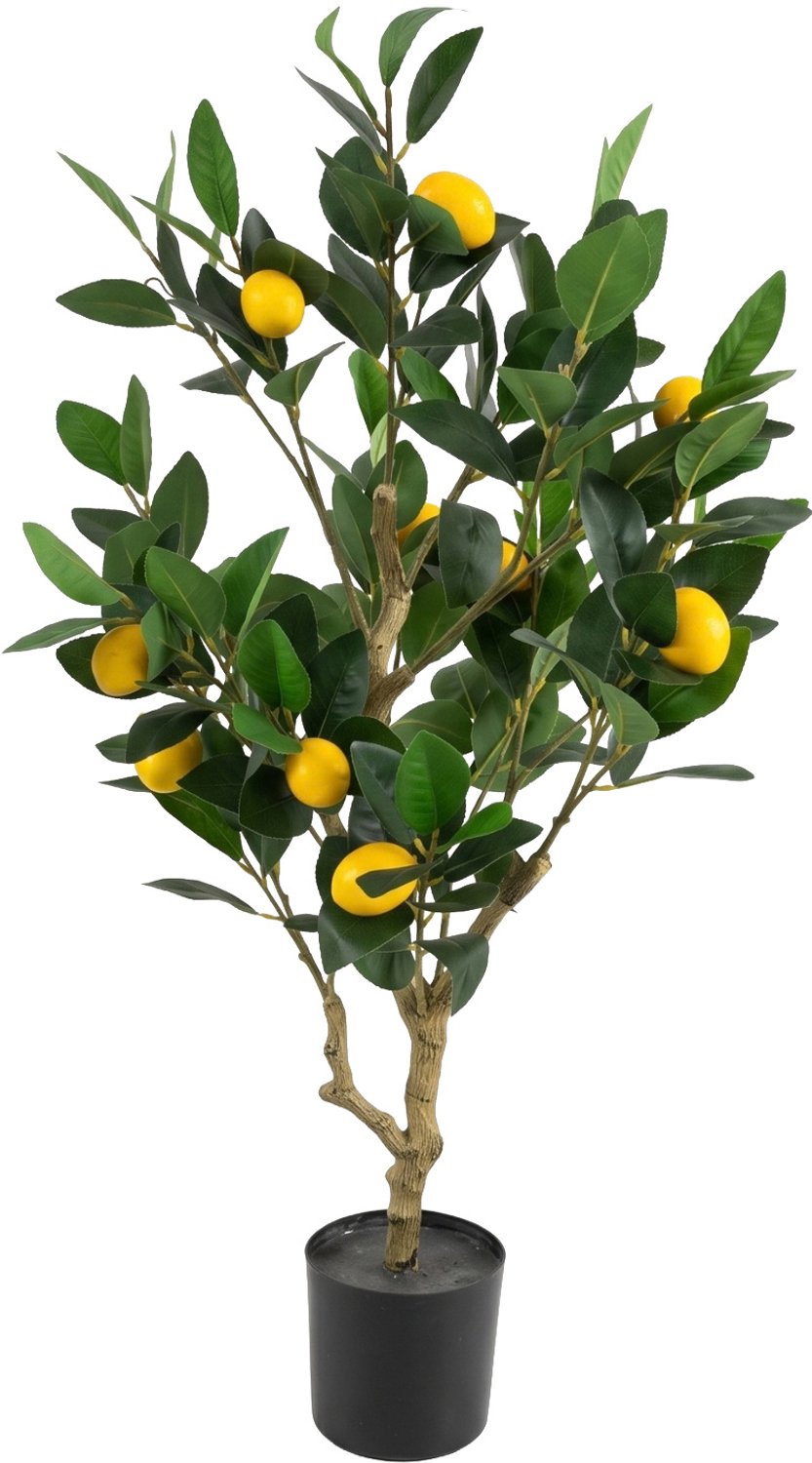 EDENIA Kunstplant - Kunstmatige citroenboom in een pot, hoogte 80 cm Groen