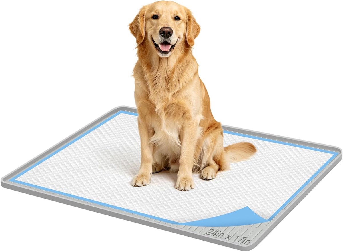 plasmat-houder voor honden, 61 x 43 cm, siliconen plasmat met hoge rand, lekvrij, morsvrije houder voor plasmatten - ShopVlot