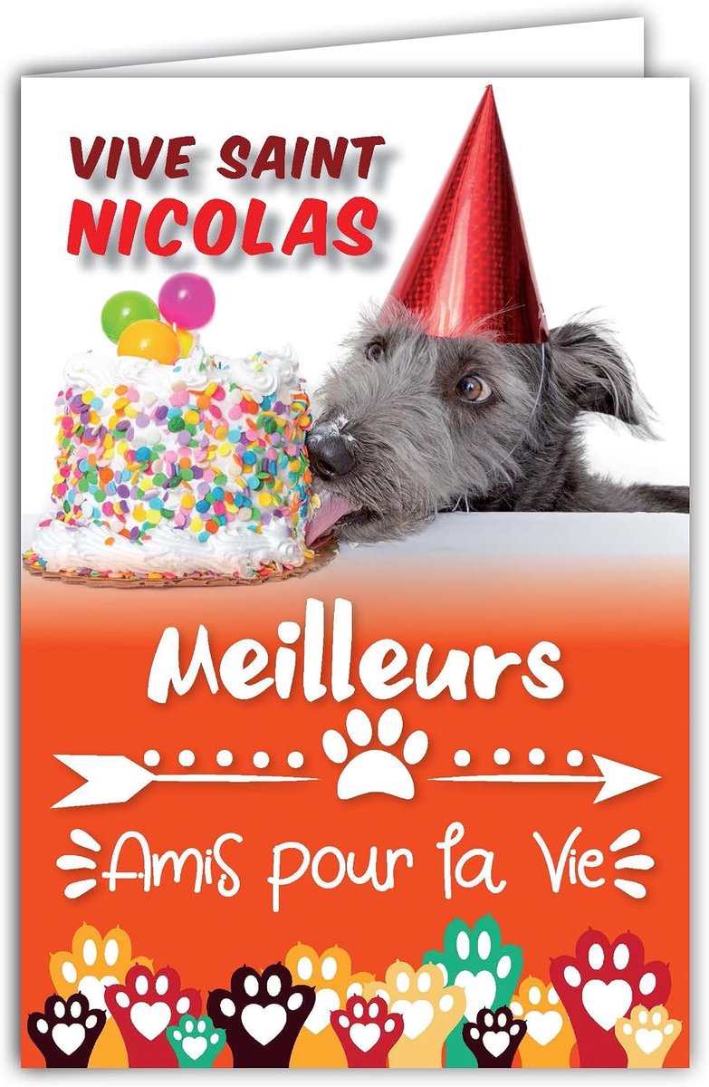 Die Vive Sinterklaas Happy Party 6 december voor kinderen Wijze jongen meisje beste vrienden voor het leven hond taart poten dieren vrienden - met witte envelop formaat 12 x 17,5 cm