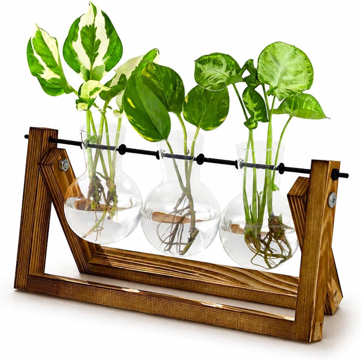 Hydroponie Plantenvermeerstation met Houten Standaard 3 Glazen Vazen voor Waterplantengroei en Woondecoratie