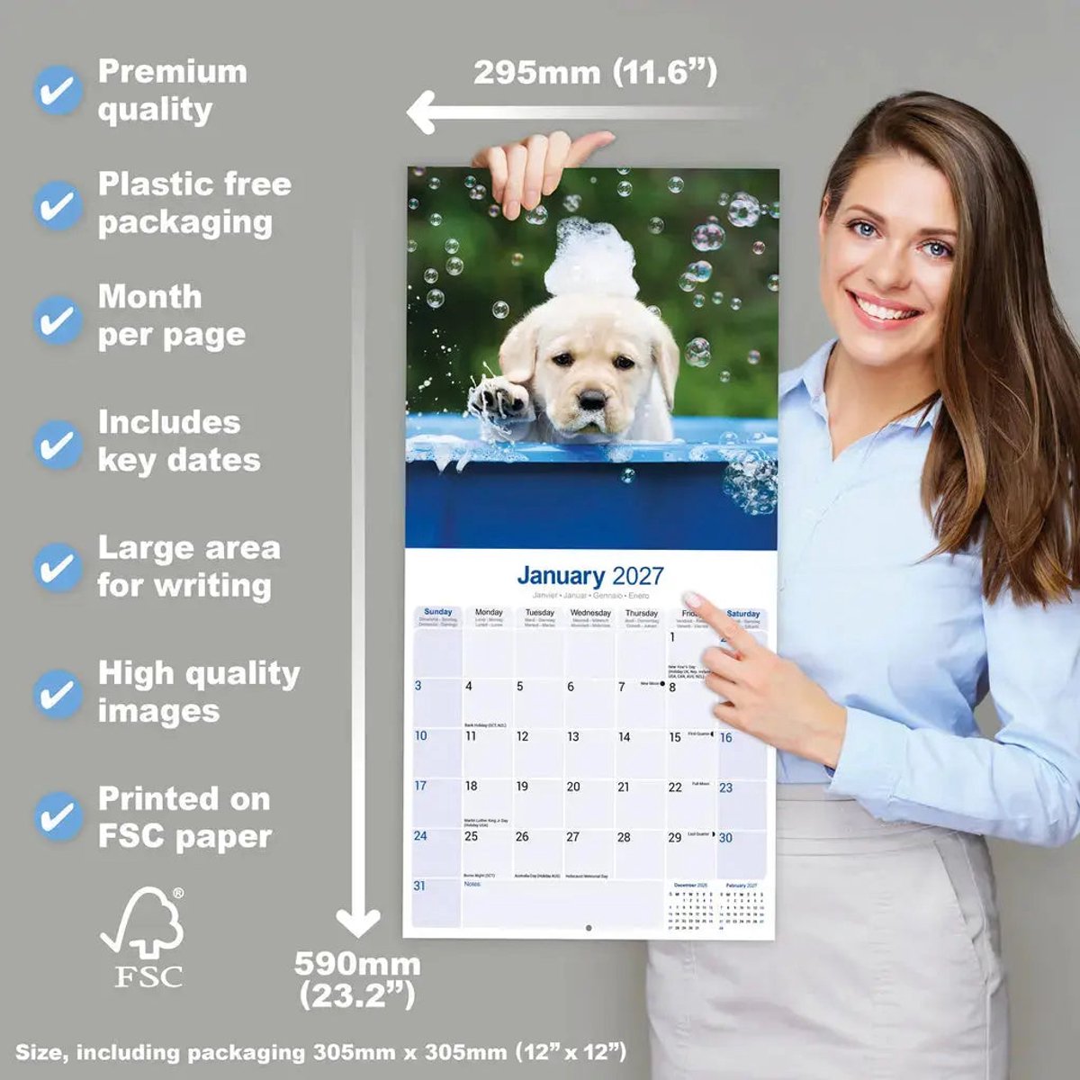 Labrador Retriever Blond Puppies Kalender 2027