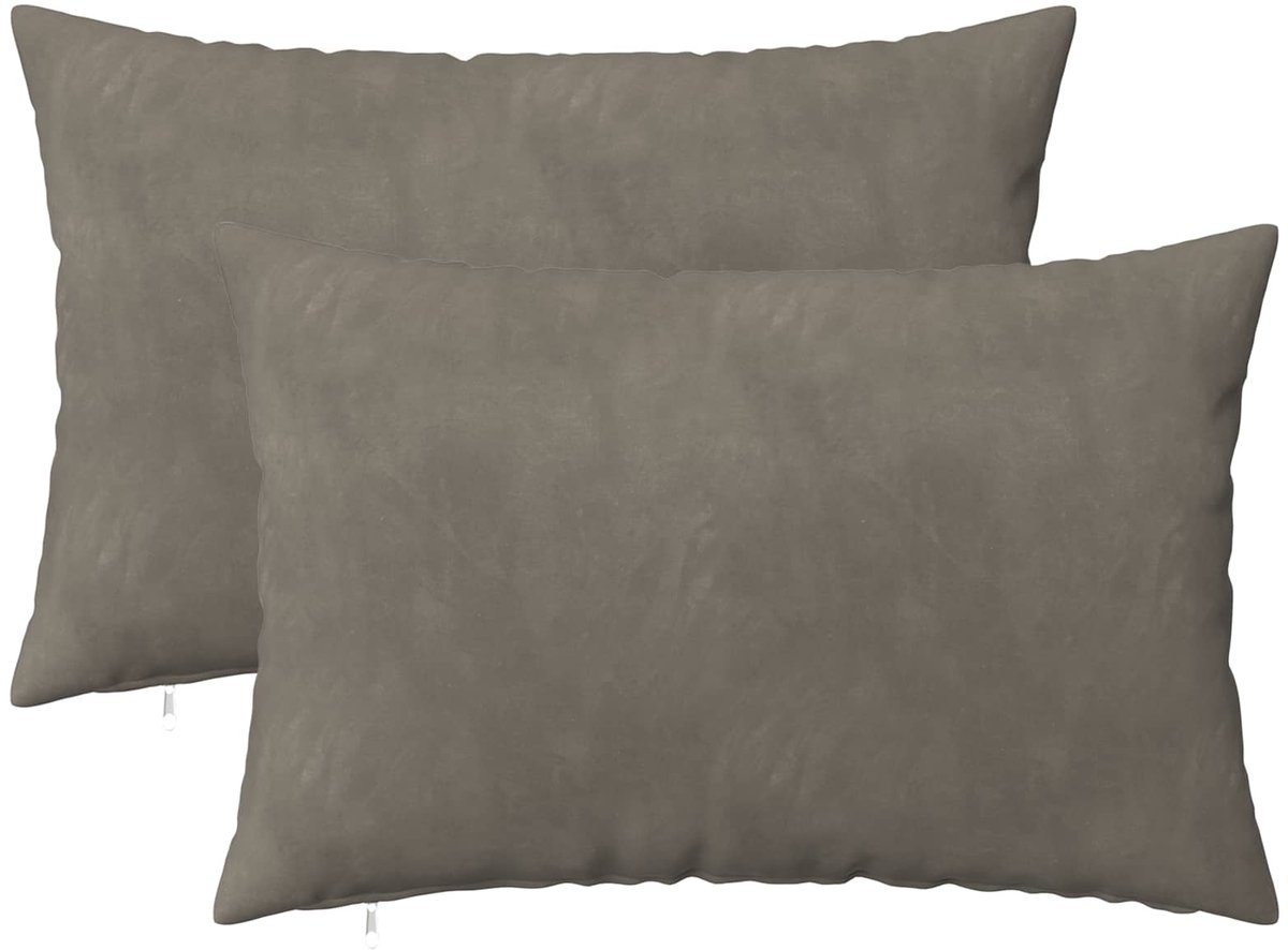 vidaXL Dekenkussen - 2 - st - HEERLEN - Lichtgrijs - 30 - x - 50 - cm - fluweel