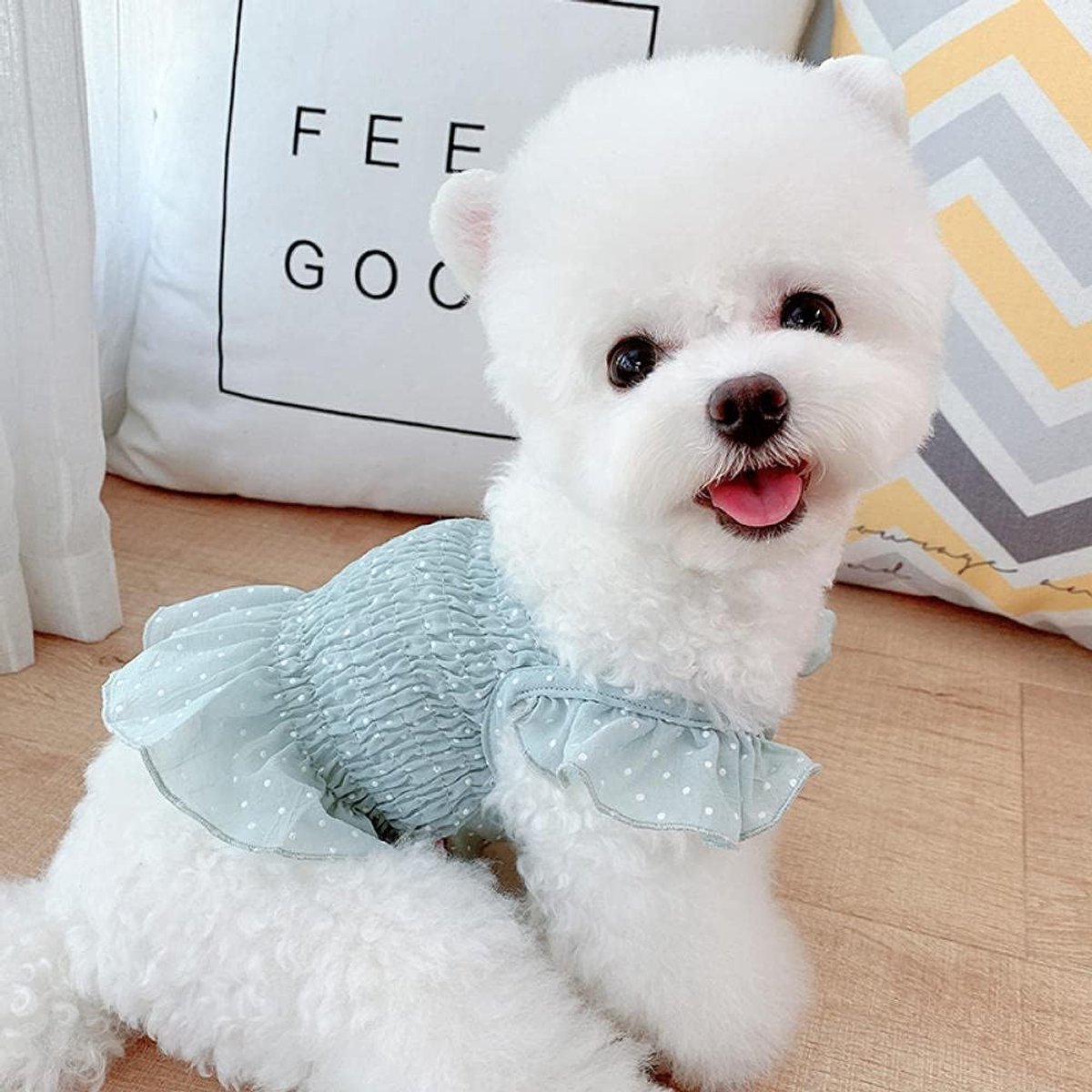 Schattig huisdier hond zomer chiffon jurk kleine honden kleding lente bovenkleding outfit Chihuahua snauzer puppy hond jurk Halloween