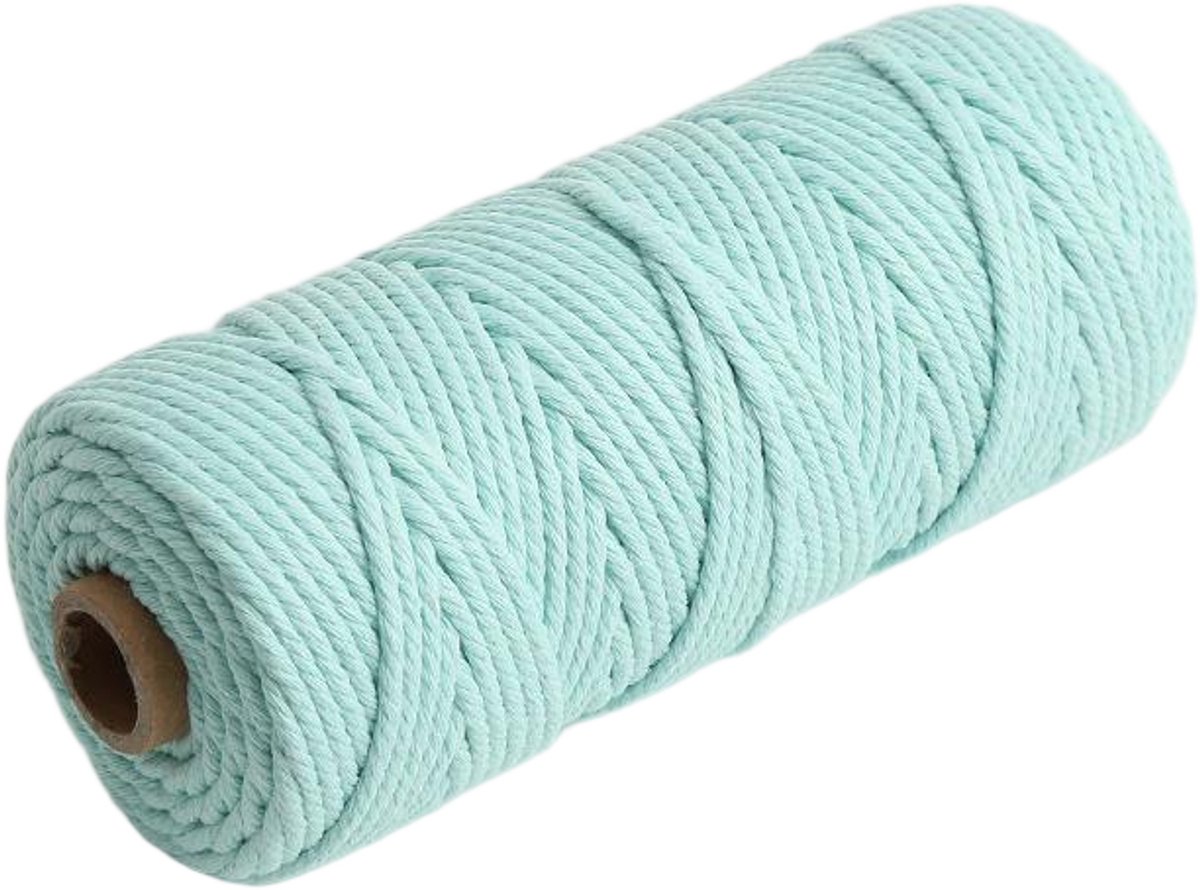 Macramétouw 3 mm x 100 m, natuurlijk katoenen draad voor wanddecoratie, plantenhangers, boho-decoratie,lichtblauw
