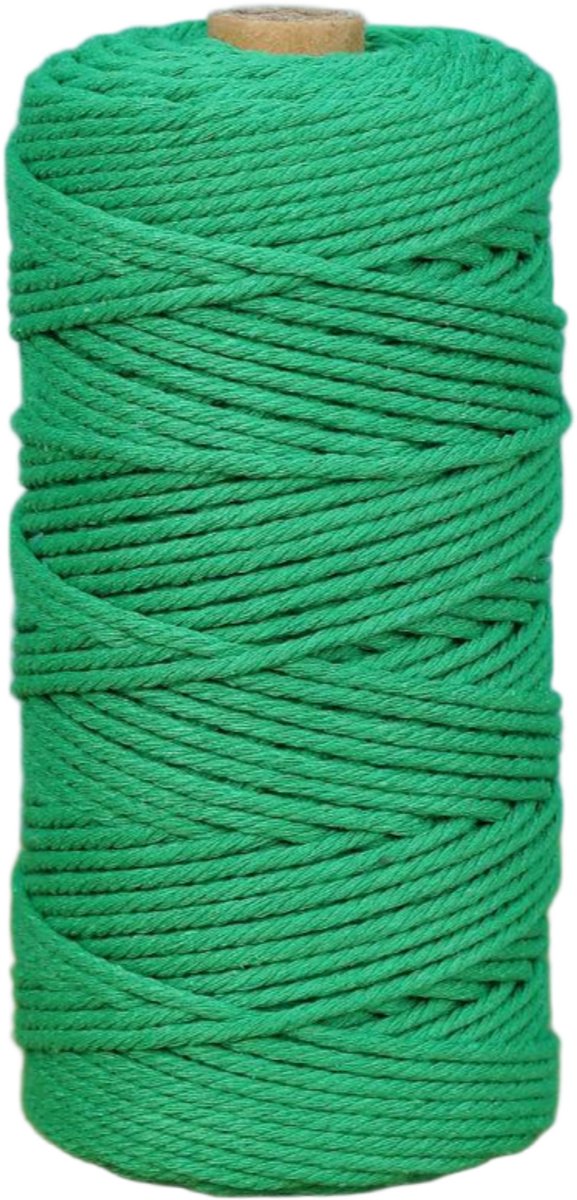 Macramétouw 3 mm x 100 m, natuurlijk katoenen draad voor wanddecoratie, plantenhangers, boho-decoratie,Smaragdgroen