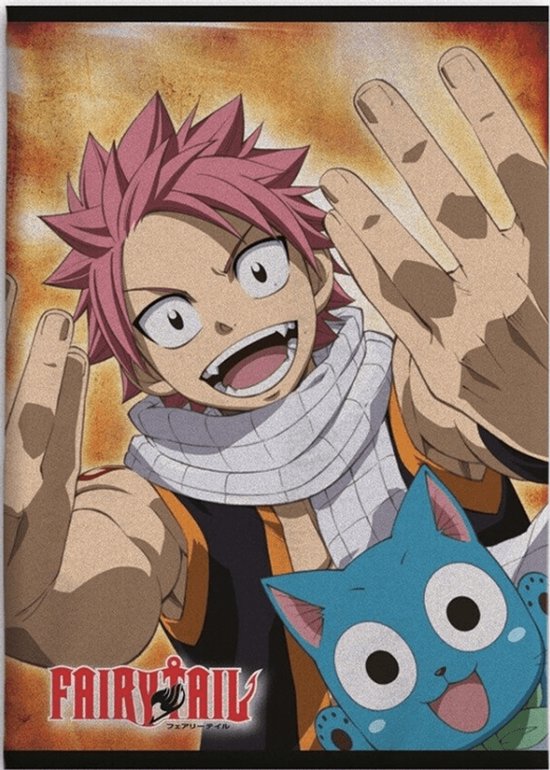Fairy Tail plaid met Natsu en Happy. Natsu heeft roze stekelhaar, een witte sjaal en draagt een zwarte top met oranje accenten. Happy is een blauwe kat met grote ogen.