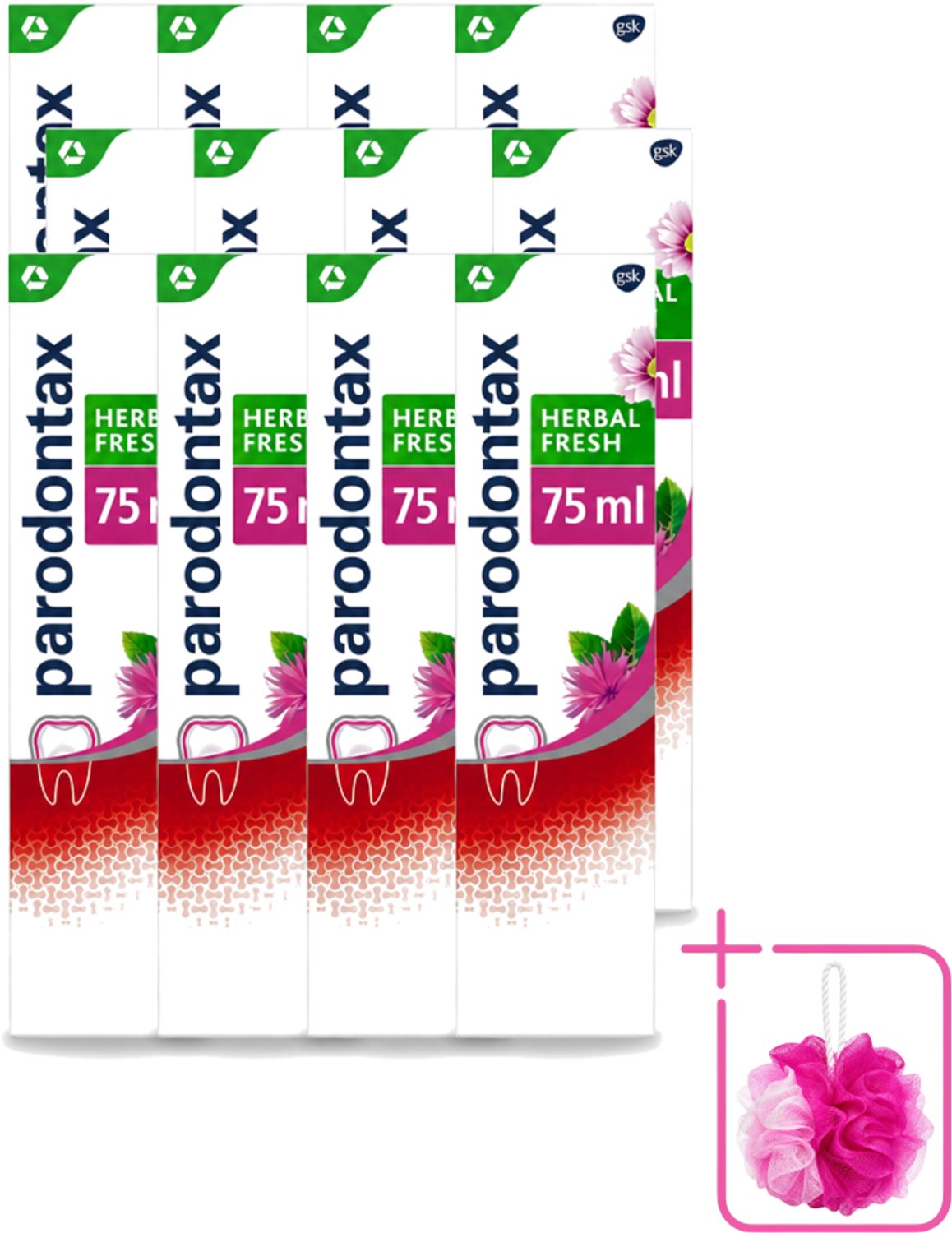 12 x Parodontax - Tandpasta - Herbal Fresh - Bergamot & Mint - 75ml - Bulkverpakking - Tandvleesgezondheid - Douchemop - Tandpasta