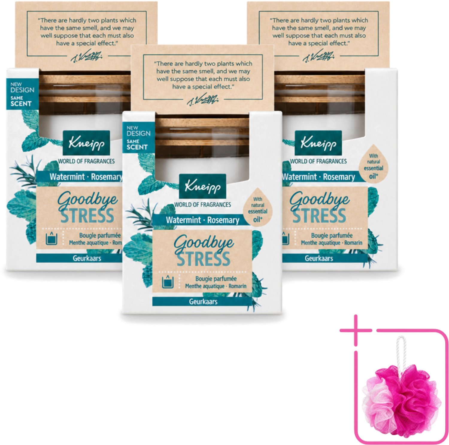 3 x Kneipp - Geurkaars - Goodbye Stress - Watermunt & Rozemarijn - 20 branduren - Bulkverpakking - Geurkaars - Douchemop - Ontspanning