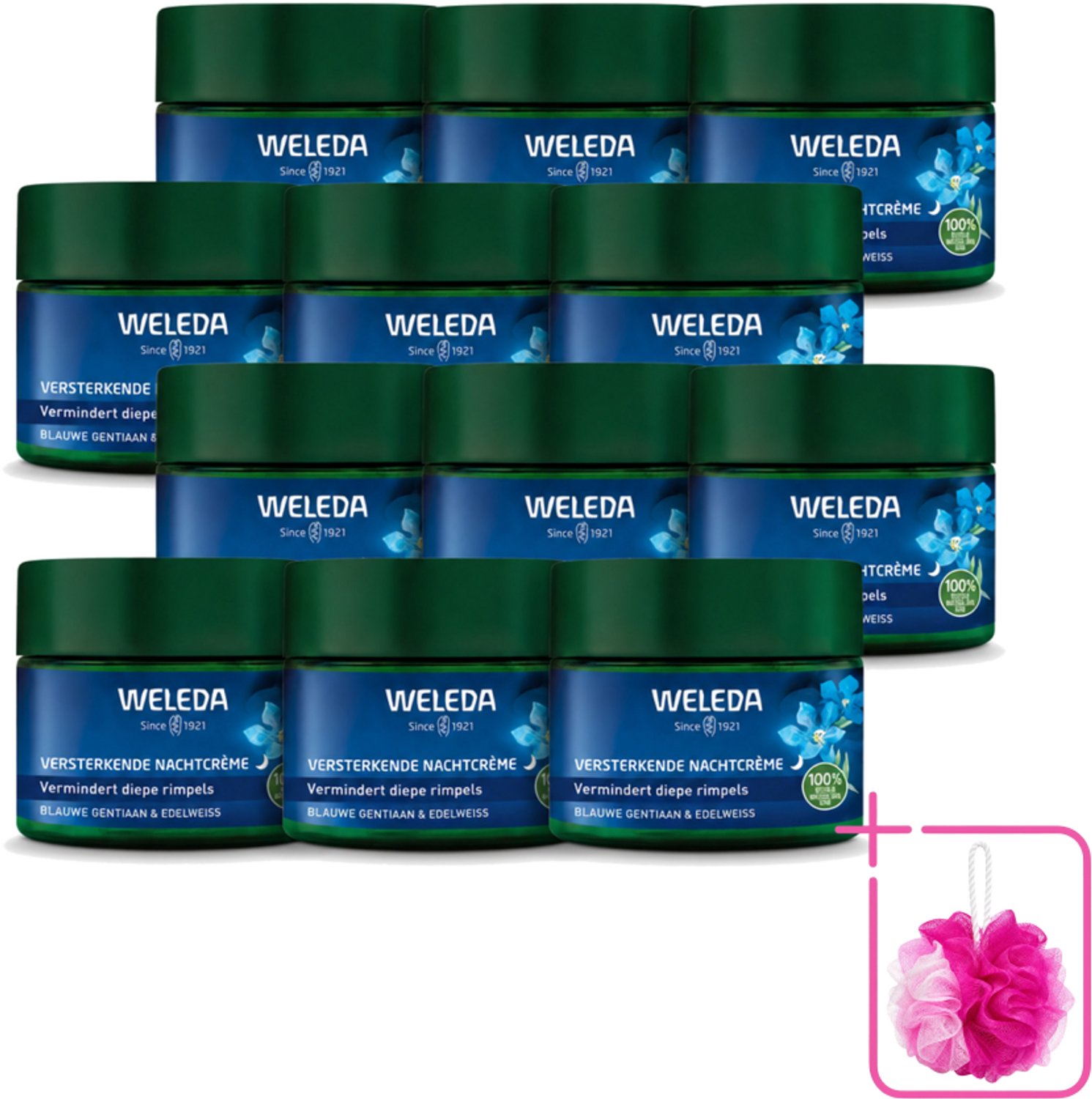12 x WELEDA - Nachtcrème Versterkend - Blauwe Gentiaan & Edelweiss - 40 ml - Bulkverpakking - Nachtcrème - Huidversterken